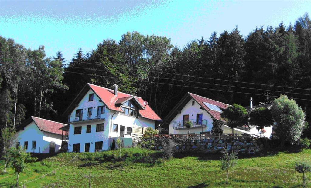 Gasthof Gruener Baum "Kongo" Amtzell Exterior foto