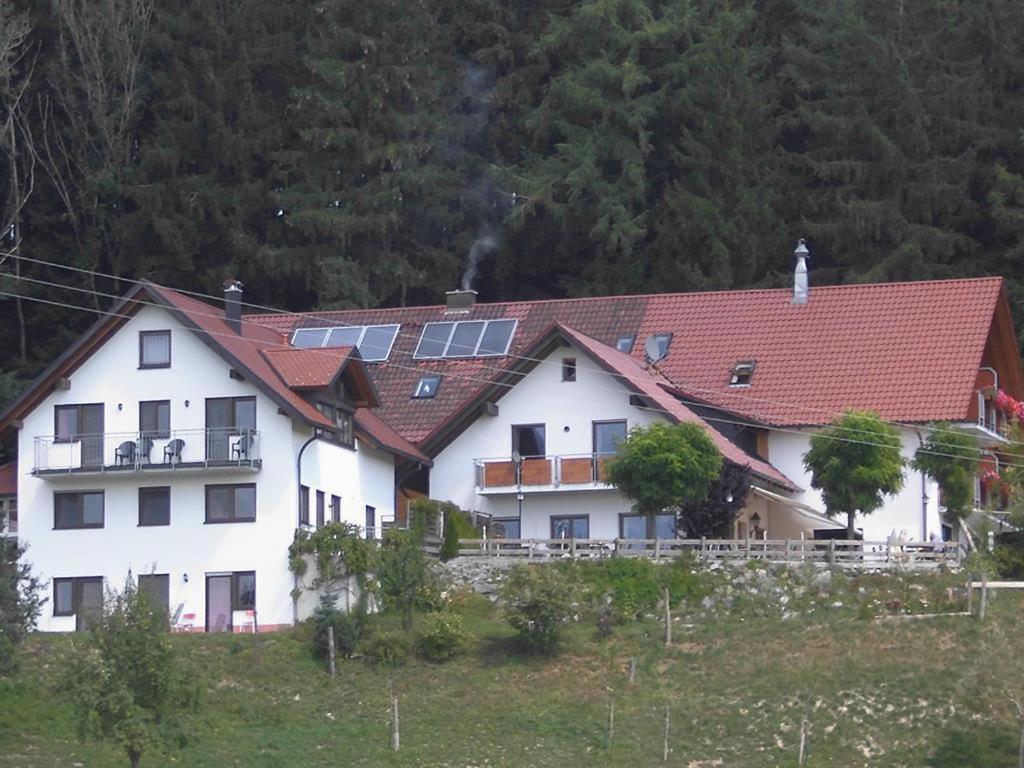 Gasthof Gruener Baum "Kongo" Amtzell Exterior foto