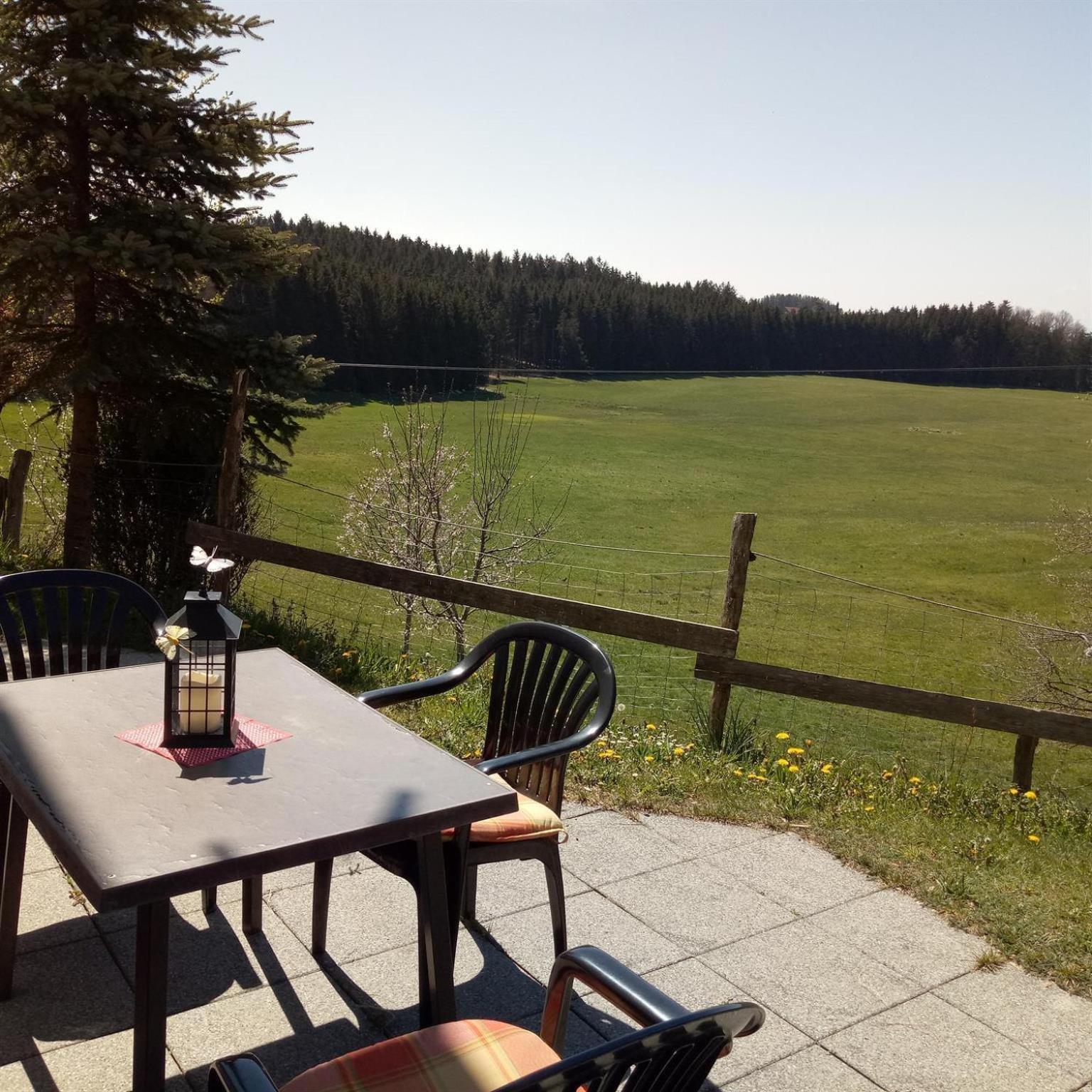 Gasthof Gruener Baum "Kongo" Amtzell Quarto foto