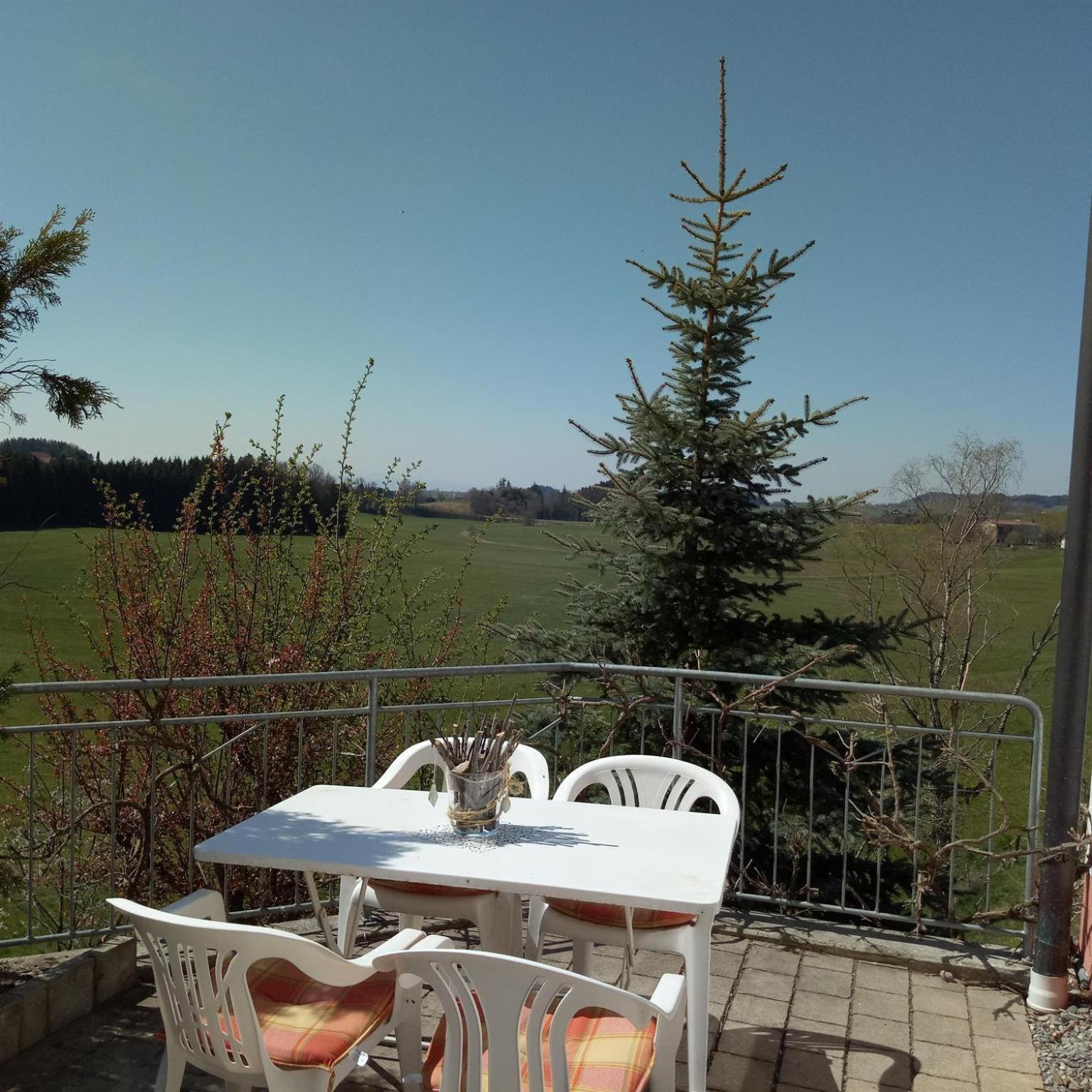 Gasthof Gruener Baum "Kongo" Amtzell Quarto foto